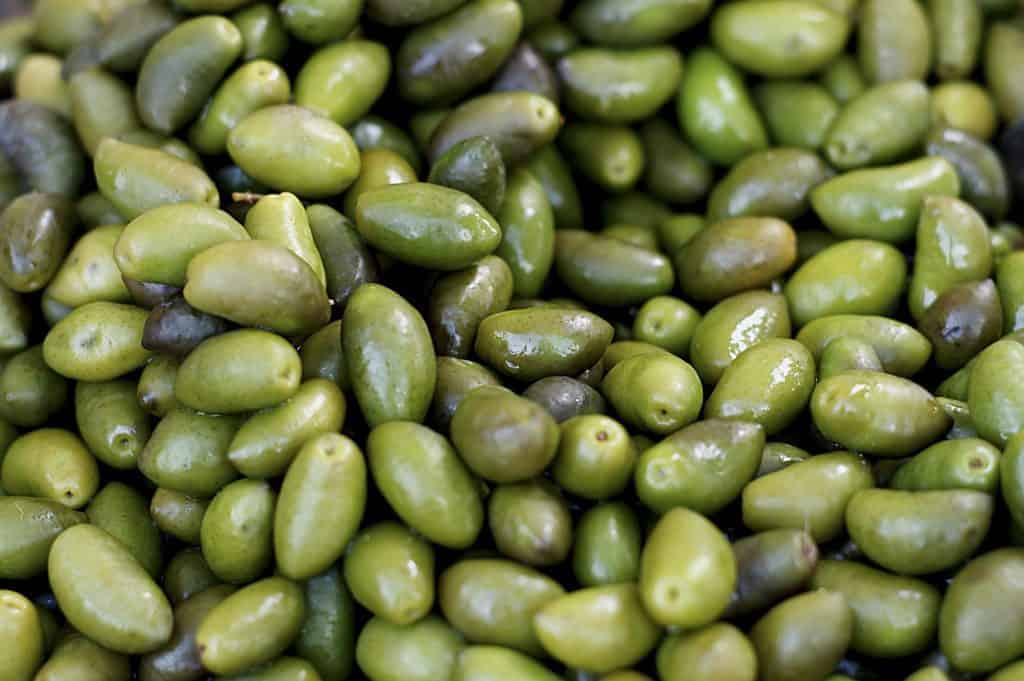 Lucques Olives