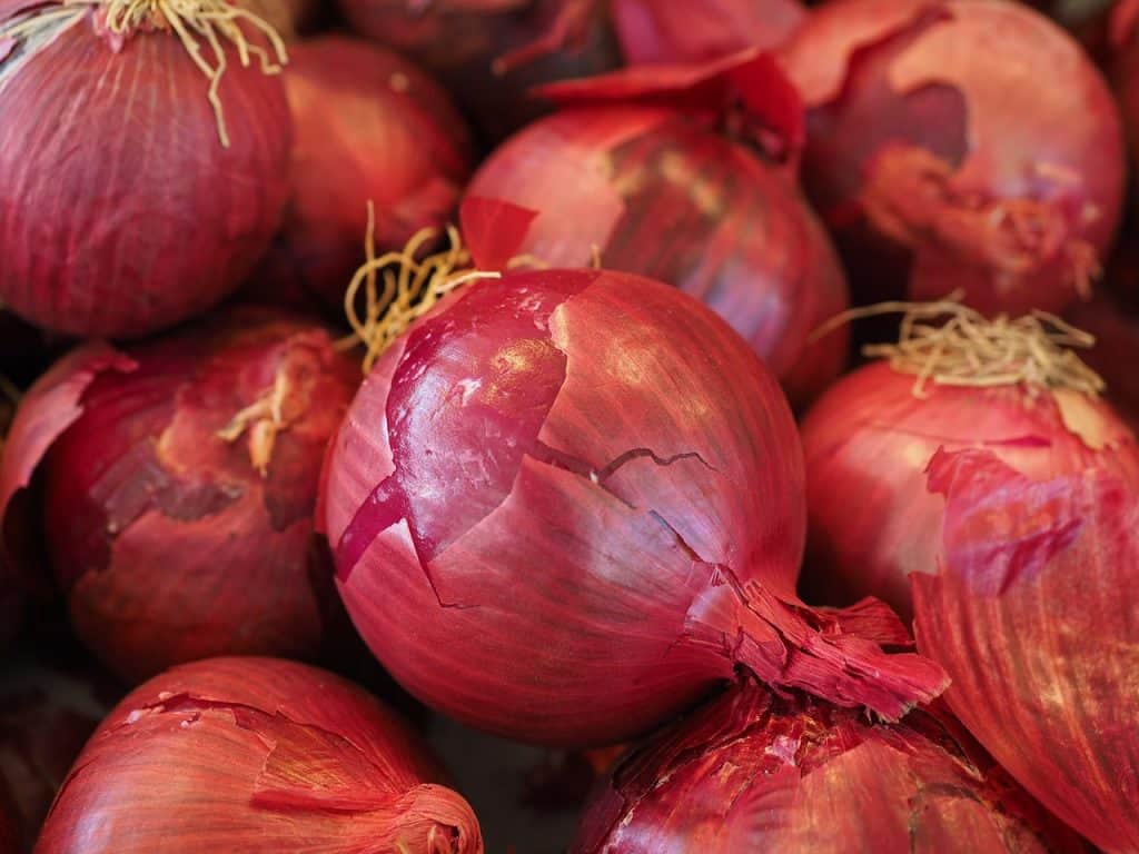 20 Types Of Onions For All Cooking Purposes Tea Breakfast,Recipe For Oxtails