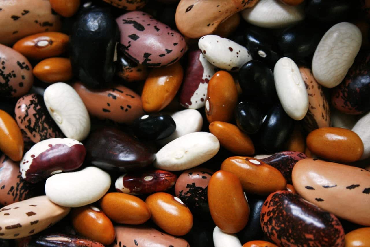 Types of Beans