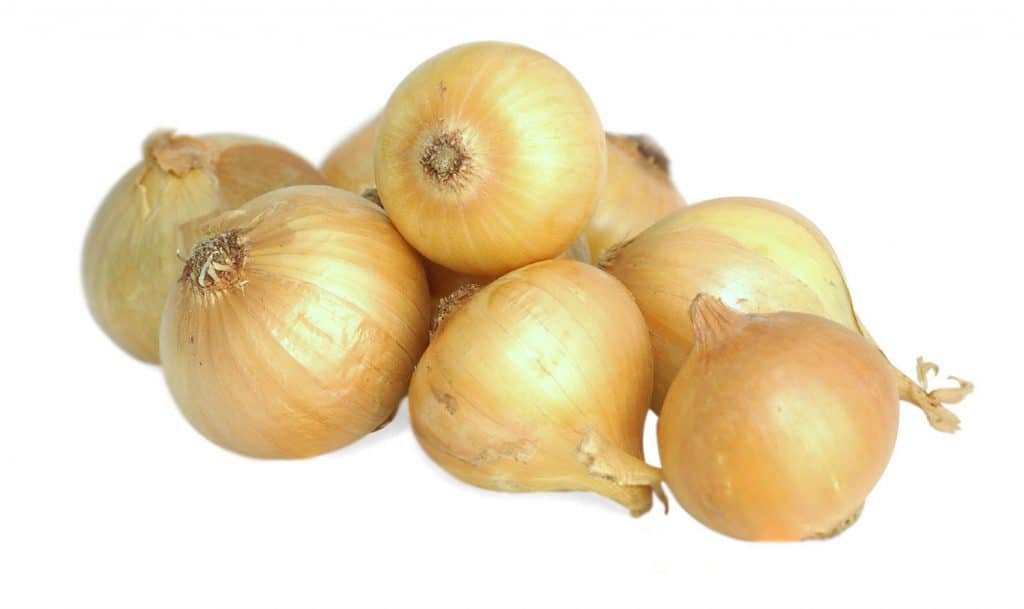 Maui Onions