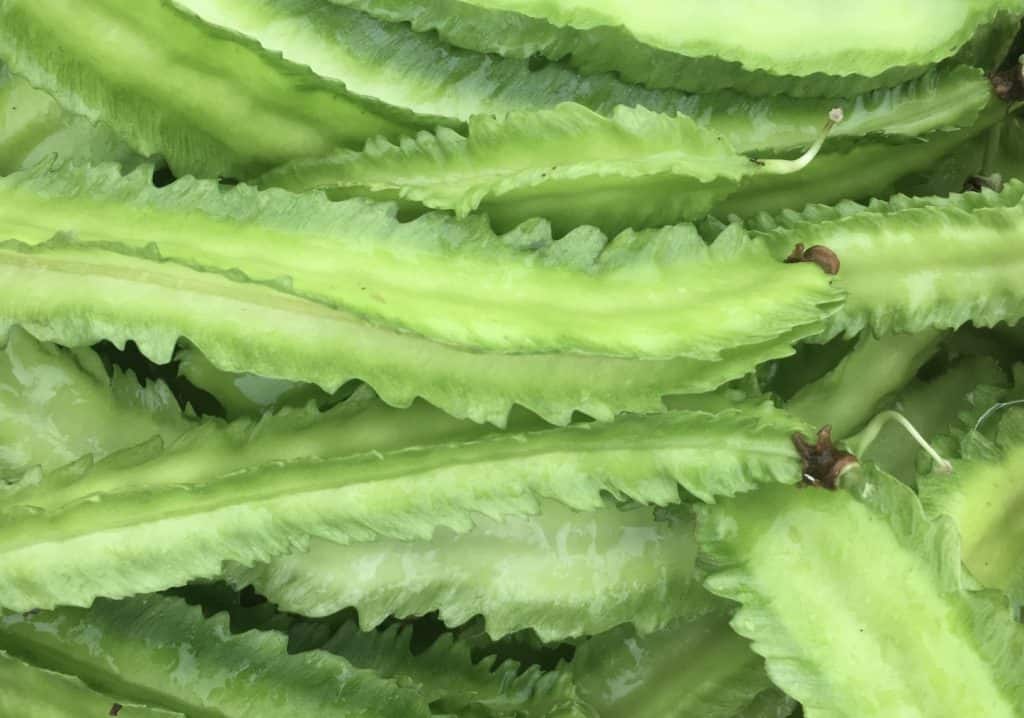 Winged Beans
