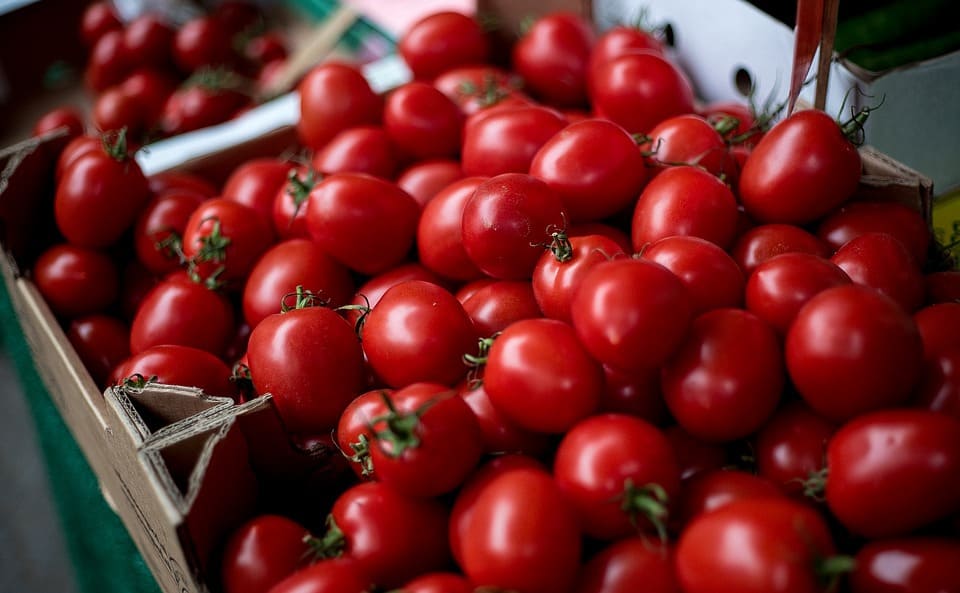 Types of Cherry Tomatoes