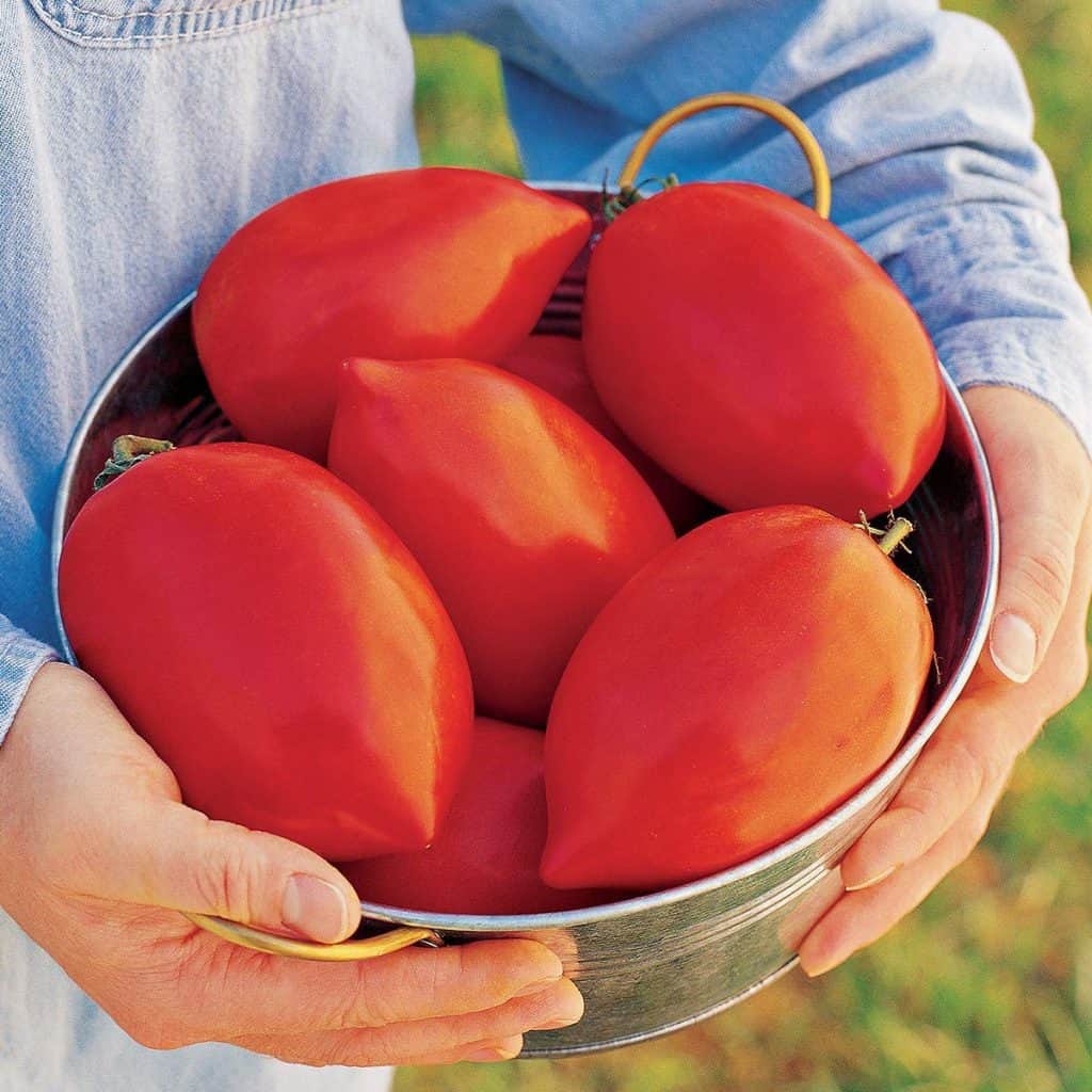 Big Mama Tomatoes