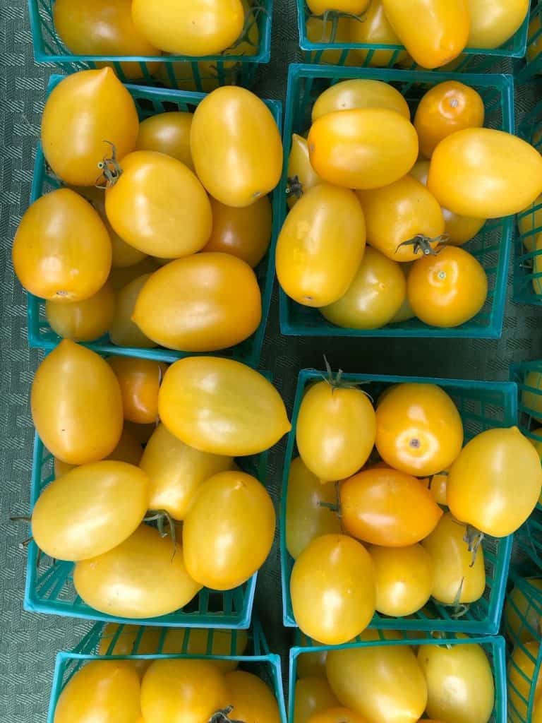 Golden Rave Tomatoes