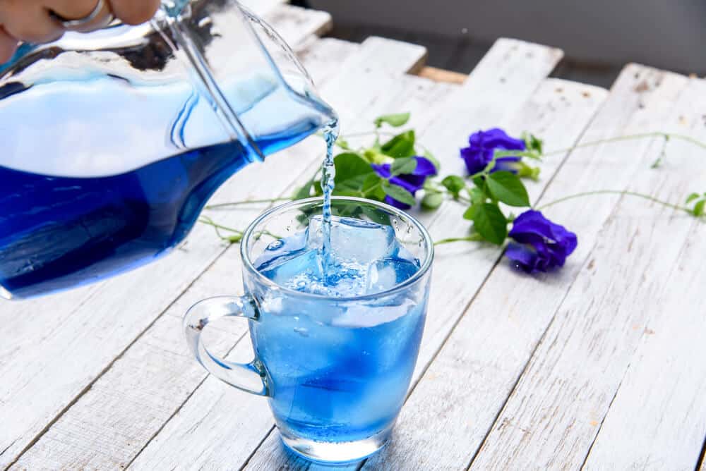 How to Make Butterfly Pea Flower Drinks