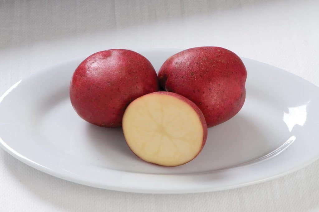 Red Norland Potatoes