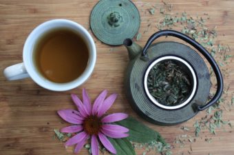 Echinacea Tea
