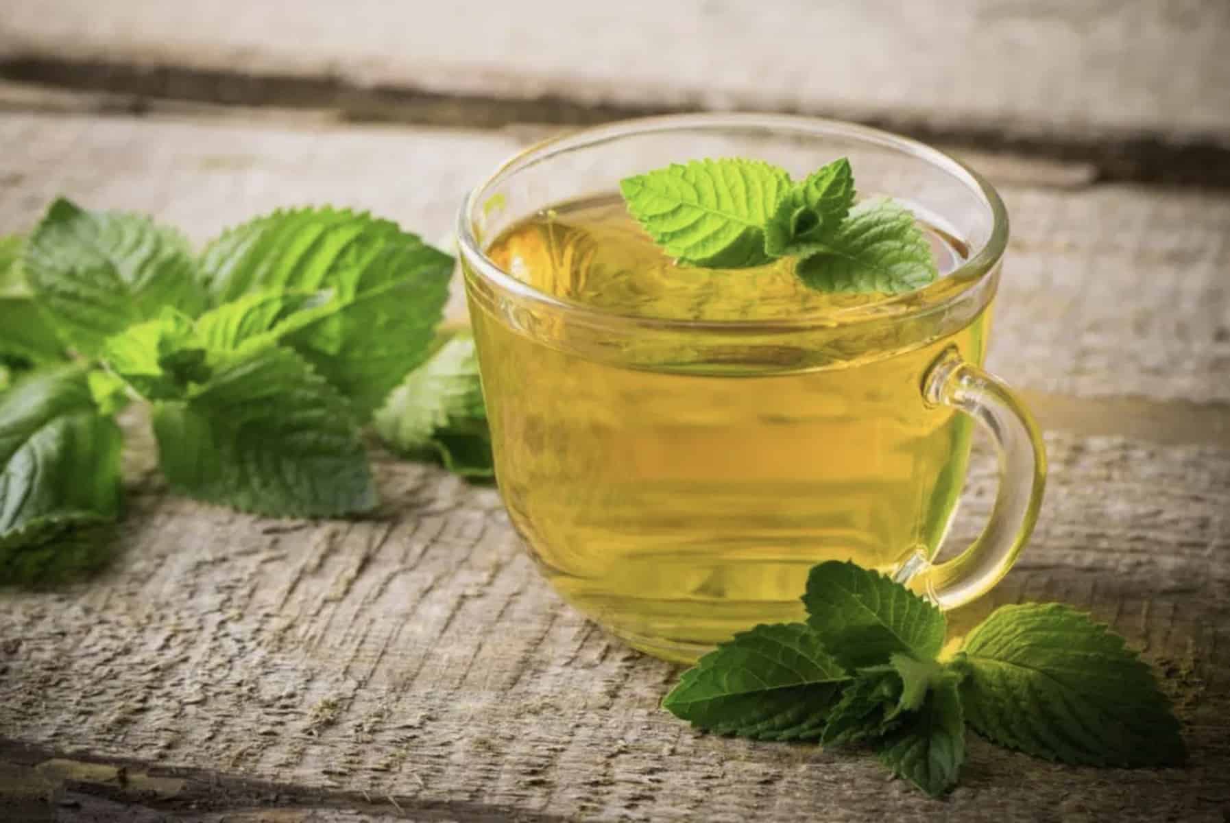 Peppermint Tea Benefits, Side Effects, and Brewing Procedure