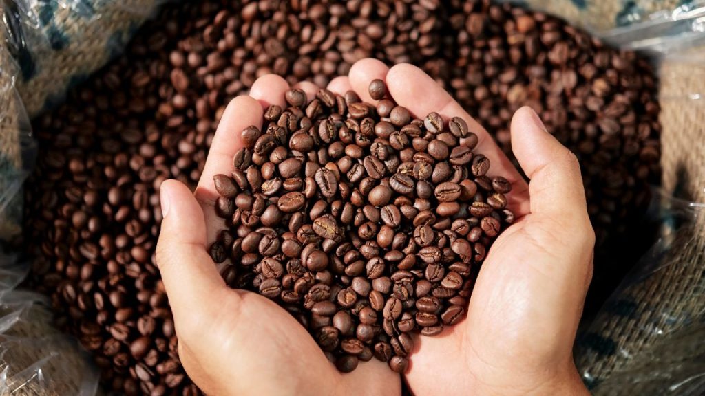 The Science of Coffee Roasting: Understanding the Basics